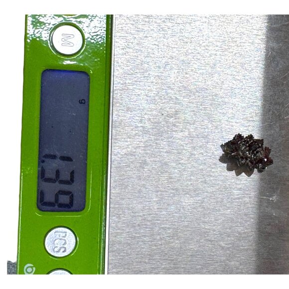 Vintage Bohemian Natural Garnet Star Cluster Brooch Victorian Antique Pin Pat - Picture 5 of 5